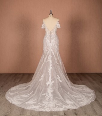 Carlo & E A8065 #1 default Ivory/Dark Champagne thumbnail